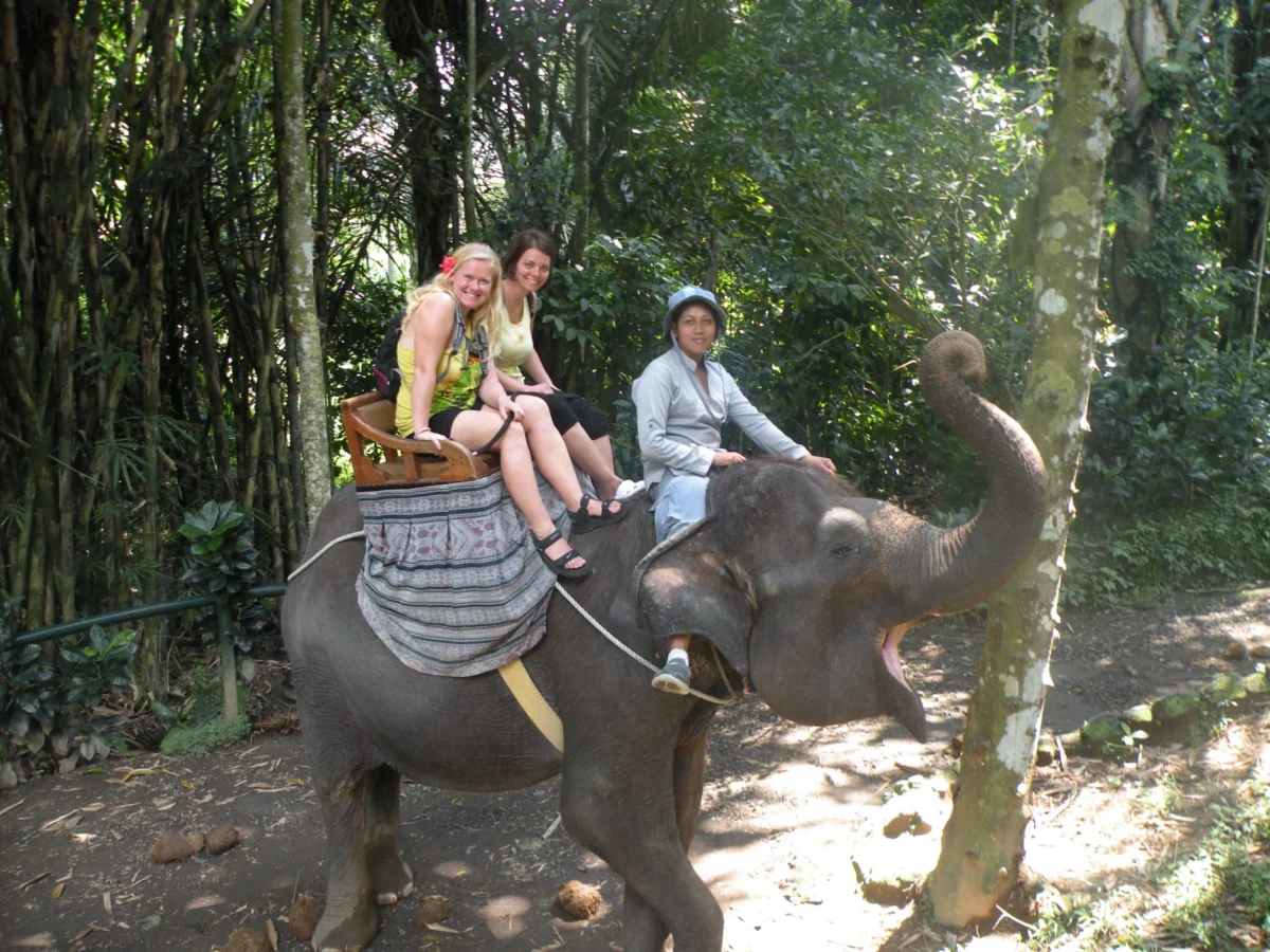 Jazda na slonovi lesom – Elephant Safari Park Taro, Bali