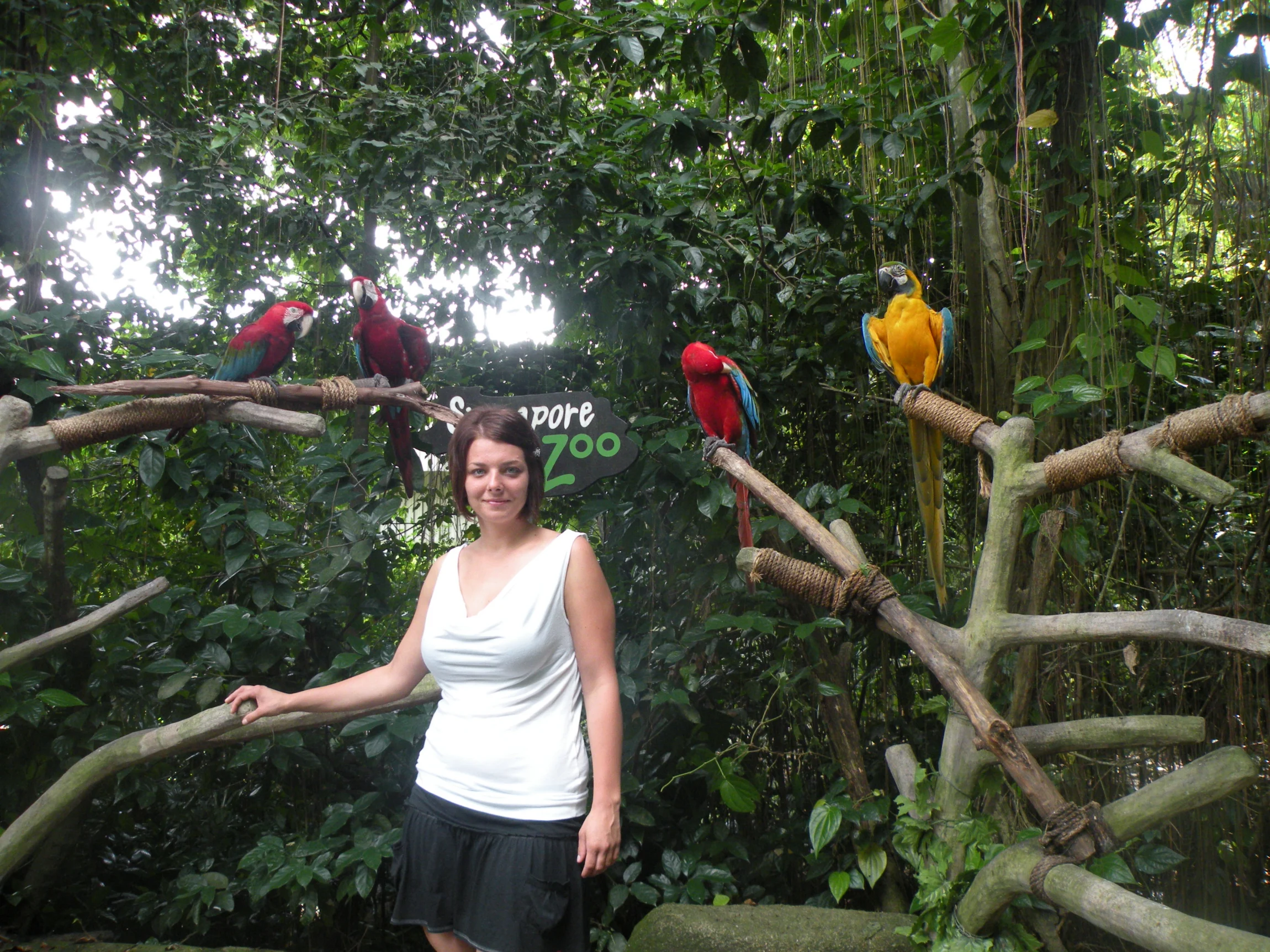 Erika s papagájmi – Sentosa, Singapur
