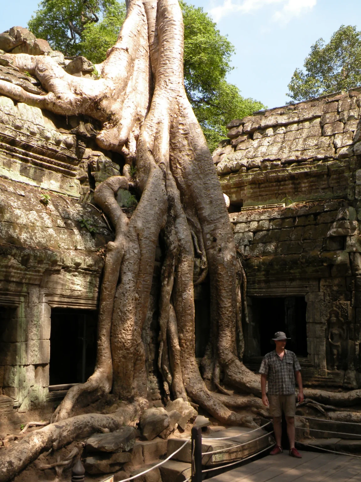 Korene stromov prerastajúce jungle chrám Ta Prohm – Angkor