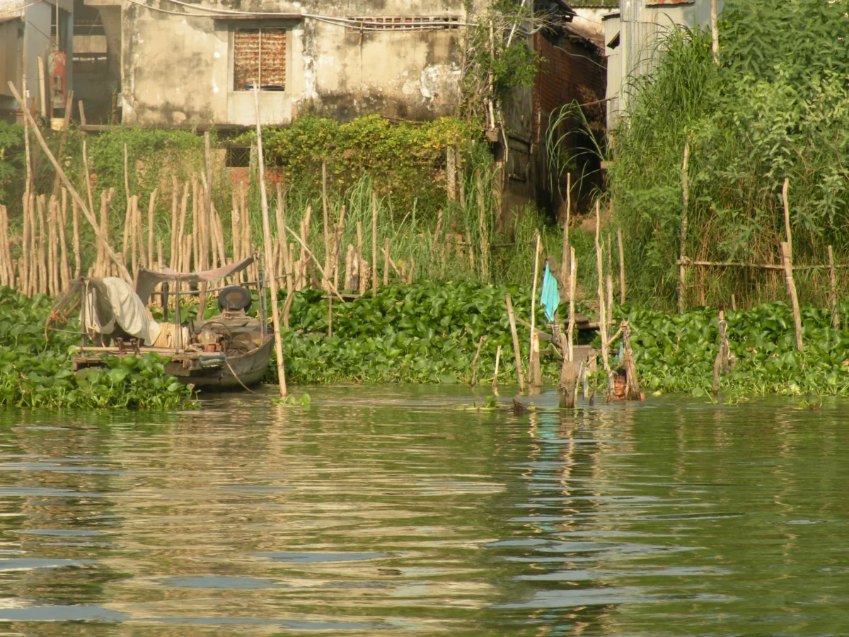 Vodné rastliny na rieke Mekong – Vietnam