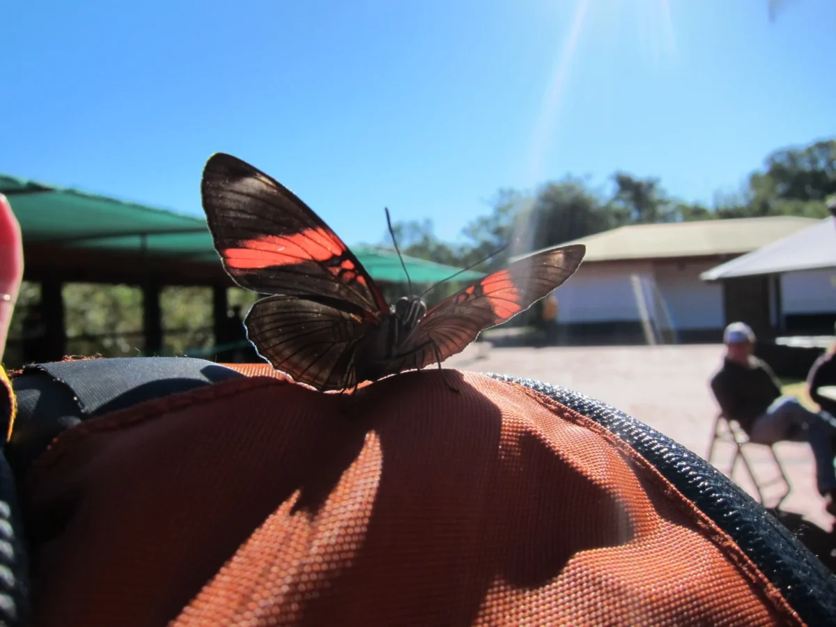 Vodopády Iguazú, Argentína