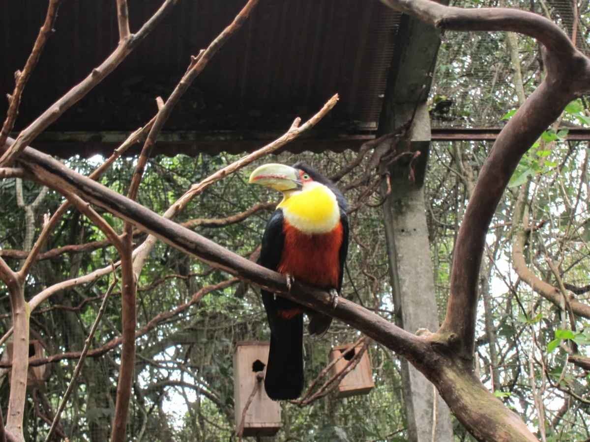 Vodopády Iguazú, Argentína