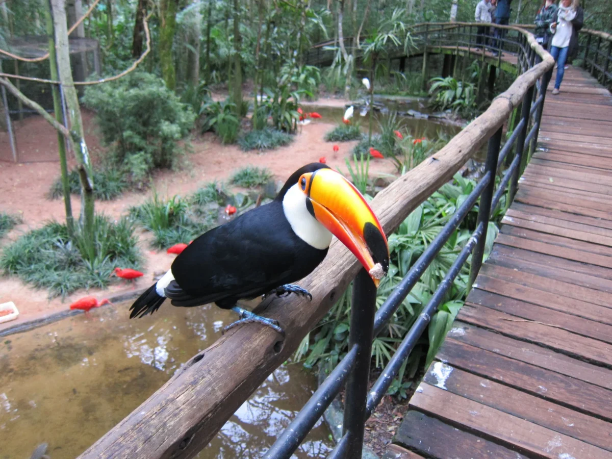 Vodopády Iguazú, Argentína
