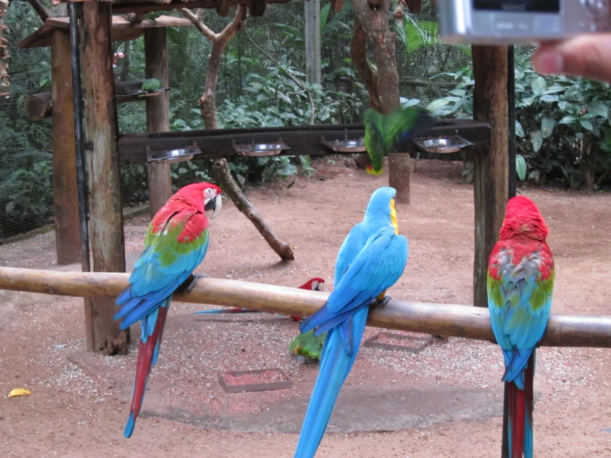 Vodopády Iguazú, Argentína