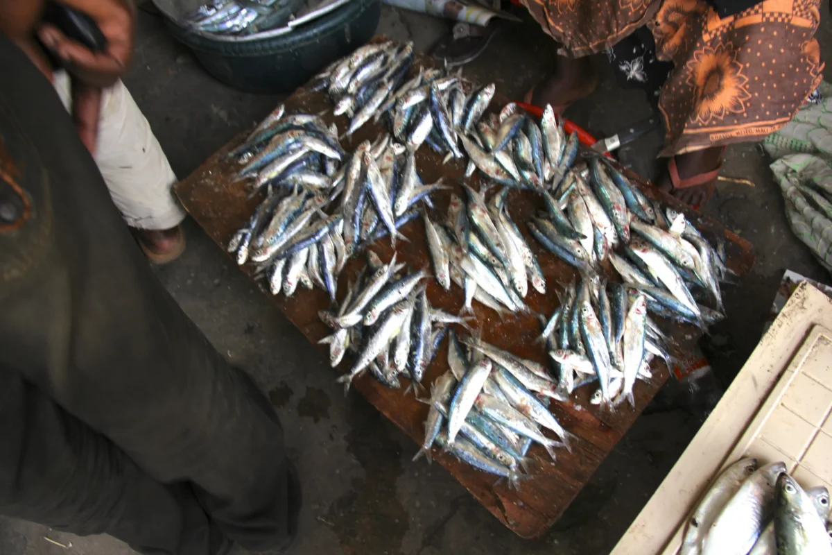 Stone Town, Zanzibar