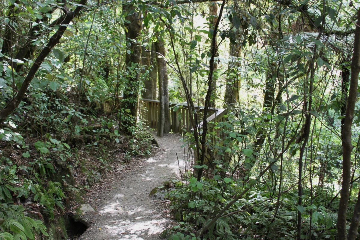 Waitomo Caves, Nový Zéland