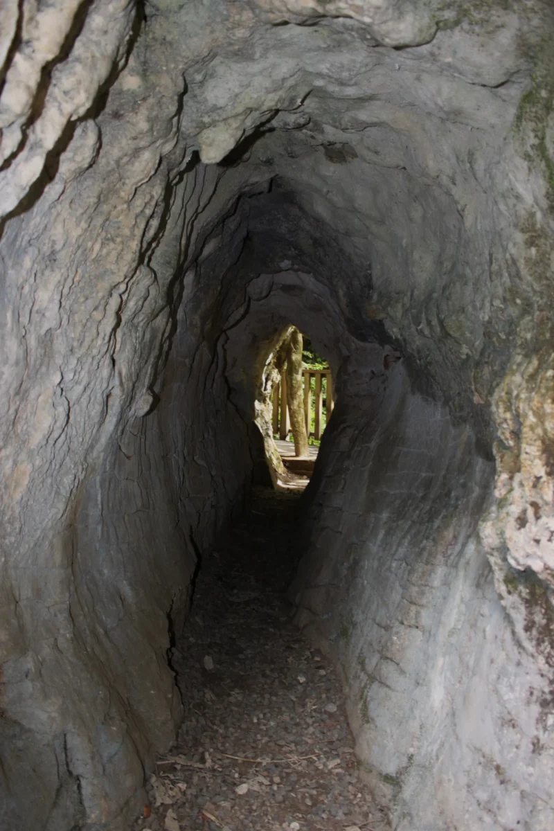 Waitomo Caves, Nový Zéland