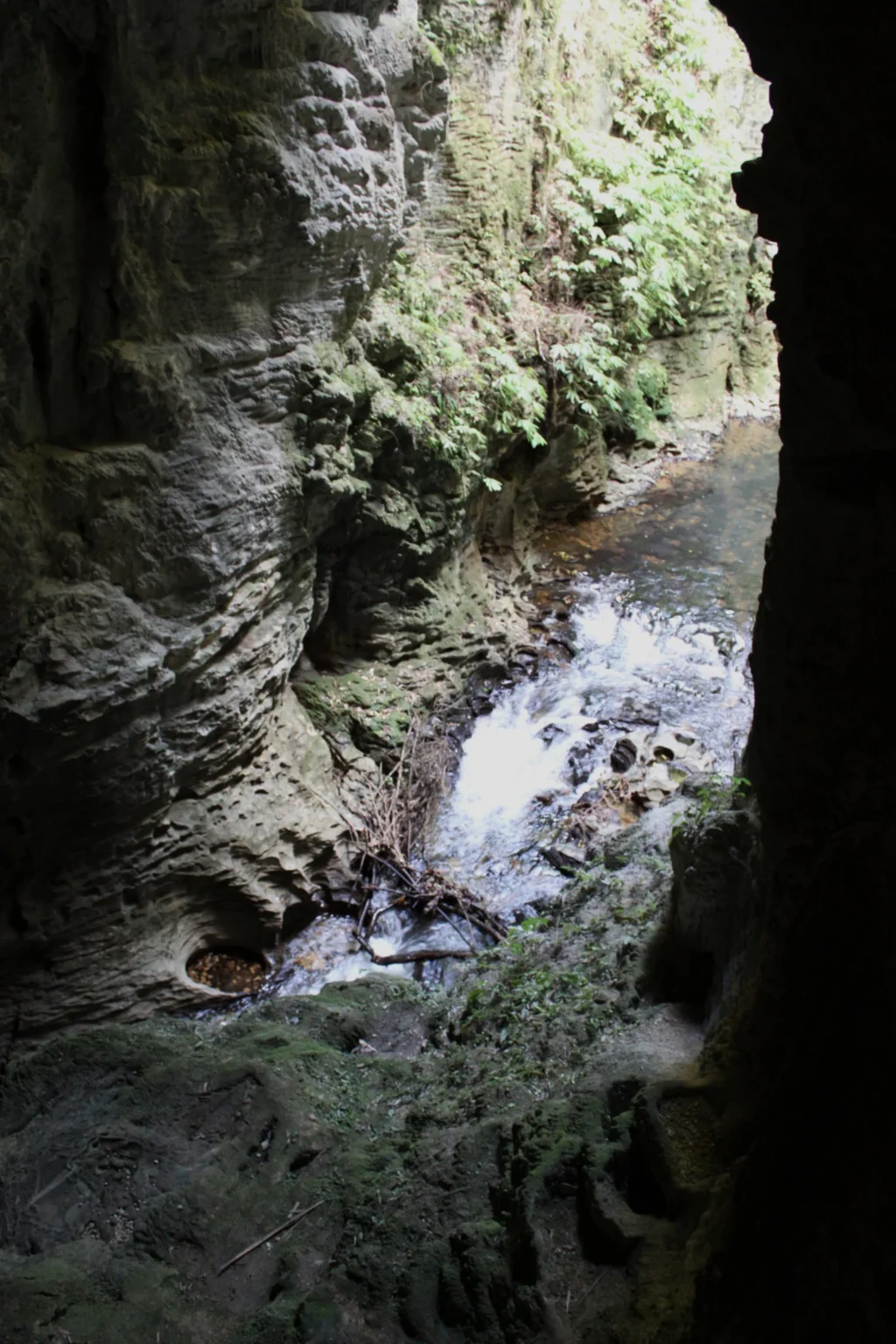 Waitomo Caves, Nový Zéland