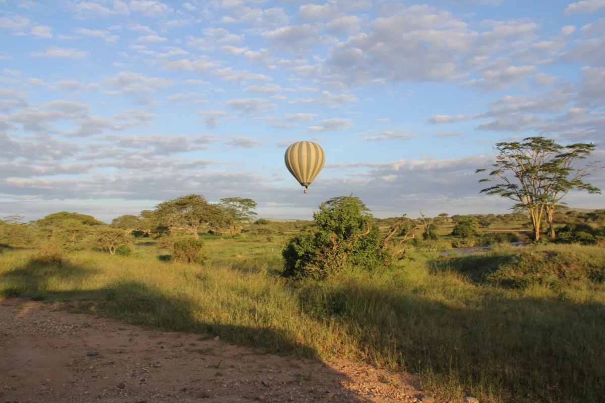 Serengeti, Tanzánia