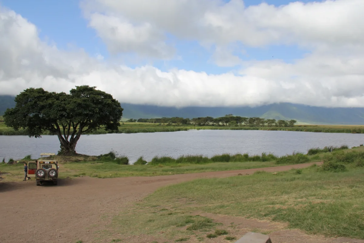 Kráter Ngorongoro, Tanzánia