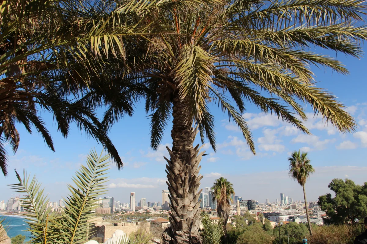 Tel Aviv – Jaffa, Izrael