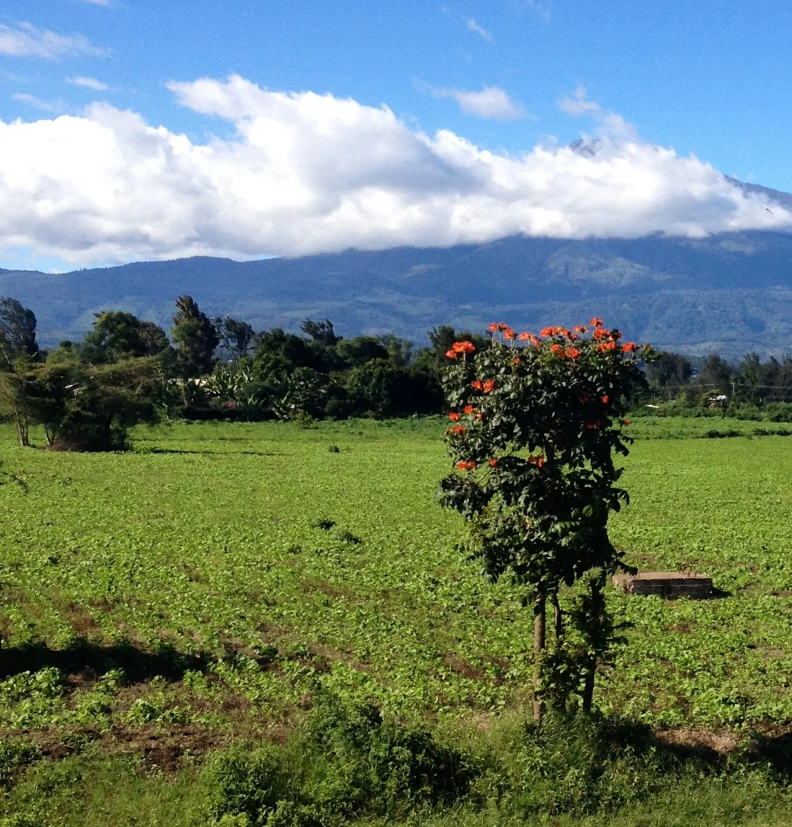 Snake Park, Arusha, Tanzánia