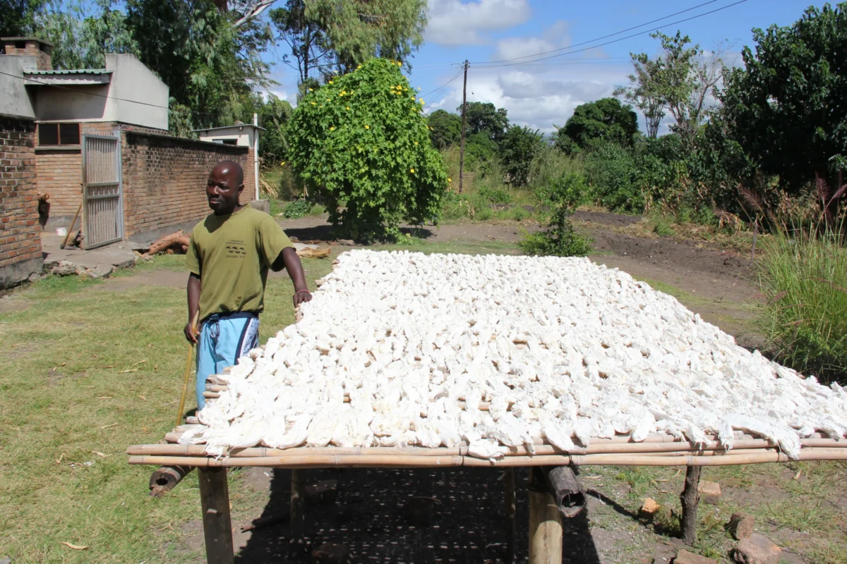 Chipata – Malawi: prvá africká hranica