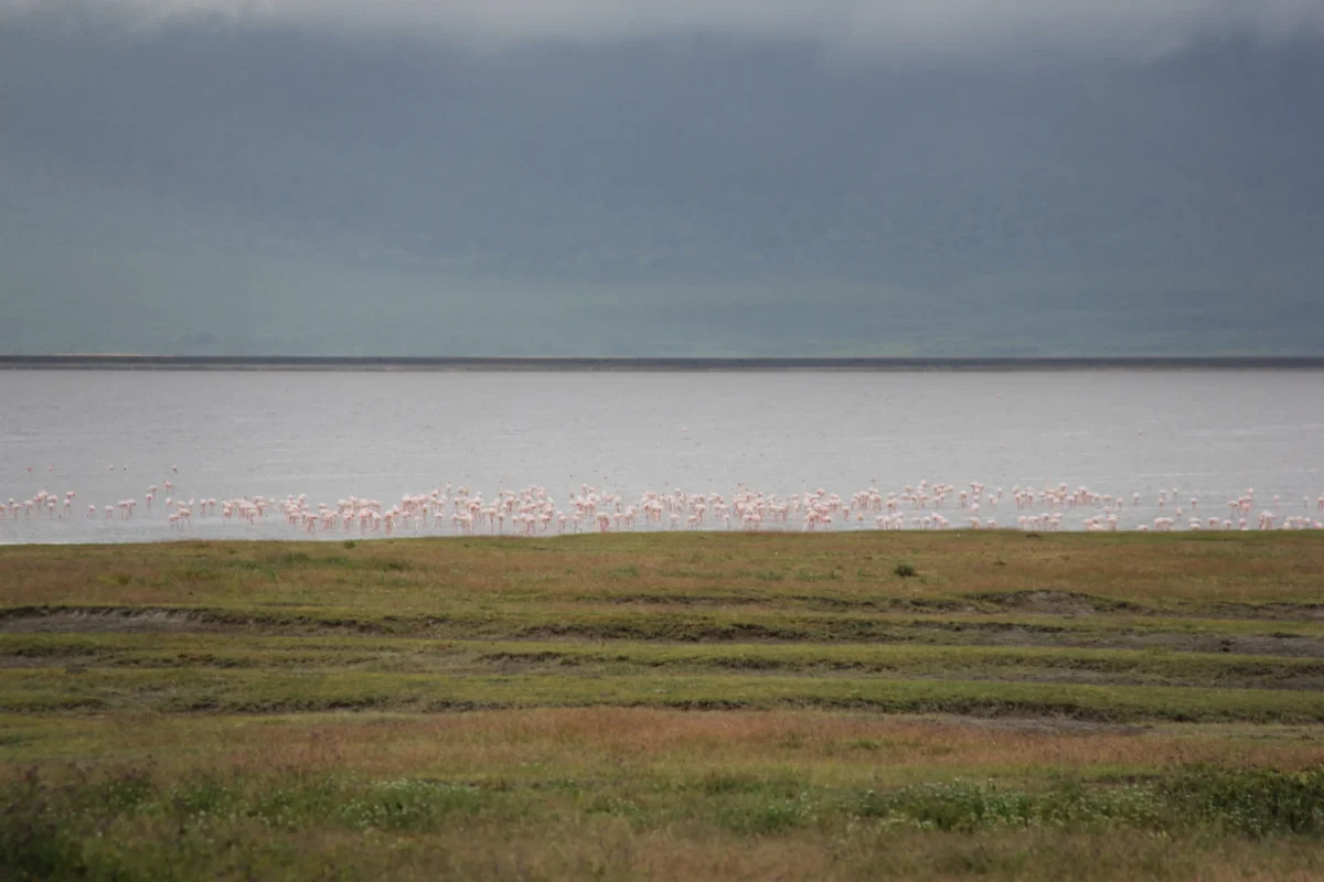 Ngorongoro – miesto, ktoré zanechá stopu na srdci