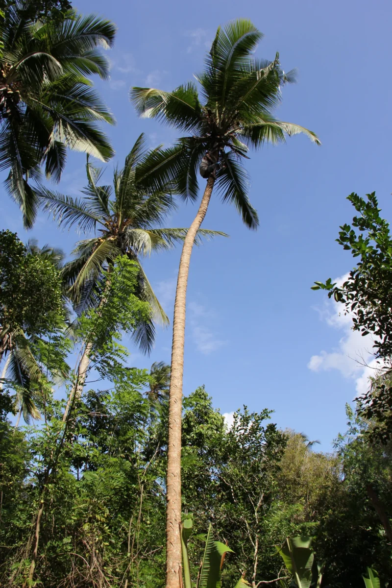 Zanzibar – Stone Town a Nungwi