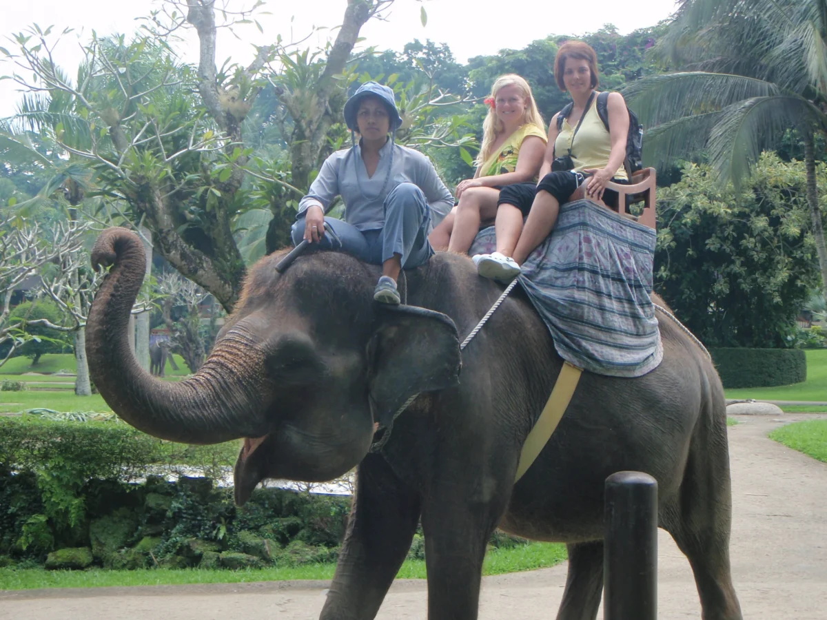 Jazda na slonovi – Elephant Safari Park Taro, Bali