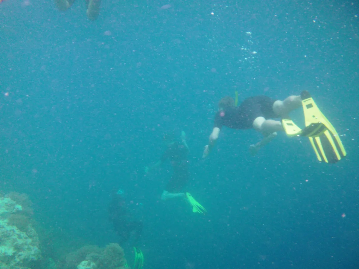 Šnorchlovanie pri útese, Nungwi, Zanzibar