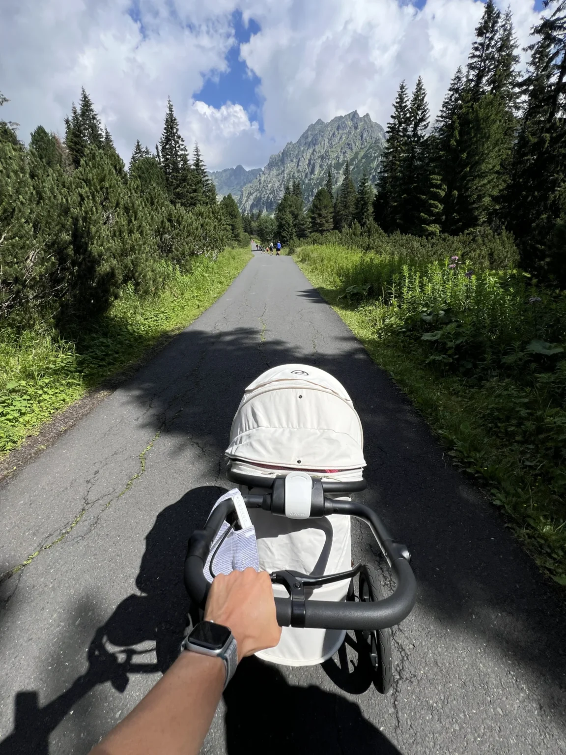 Kočík na ceste s výhľadom na Tatry