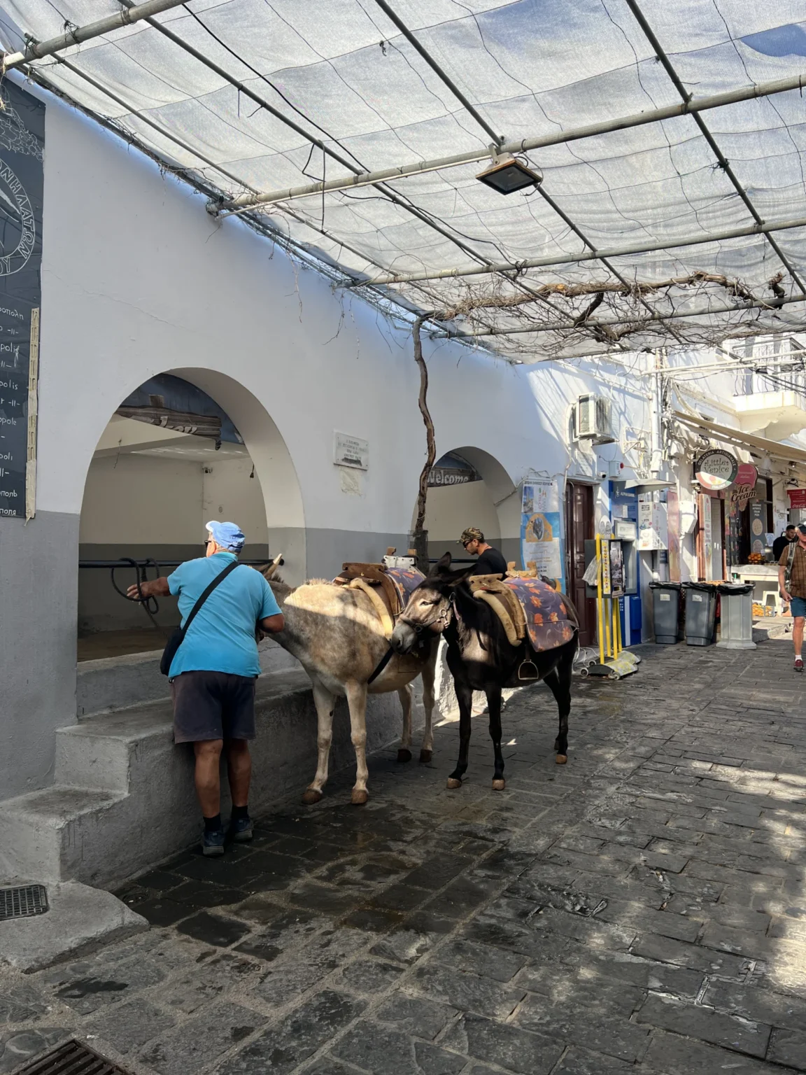 Rodos